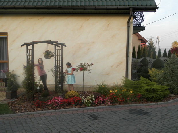 pergola z clematisami