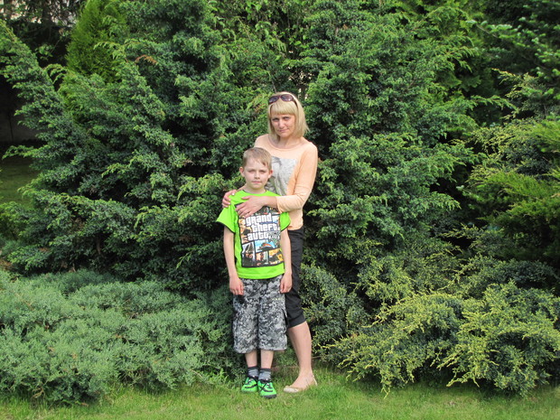 Ściana z zielonych iglaków.