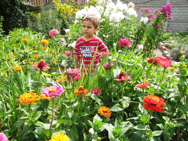 Siostrzeniec Jacuś podczas zabawy w chowanego.