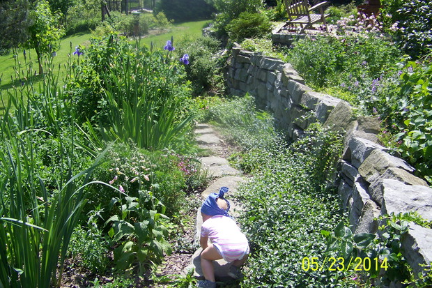 Spacer małego ogrodnika wśród kwiatów.