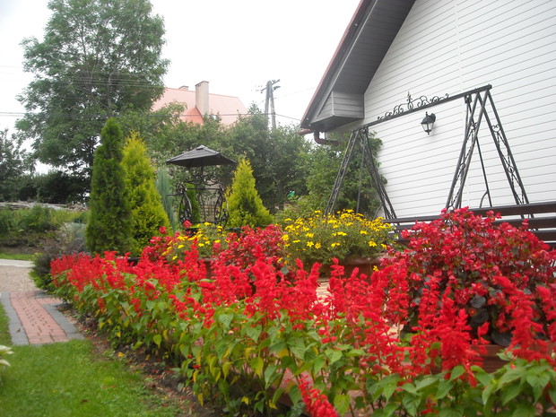 Szałwiowy zawrót głowy