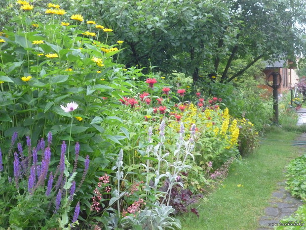 Taki widok mamy z werandy 