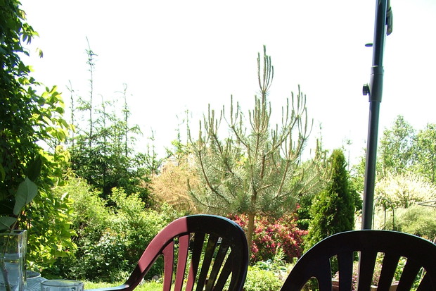 Taras na którym się gościmy