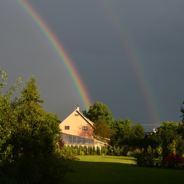 Tęcze z wizytą w moim ogrodzie