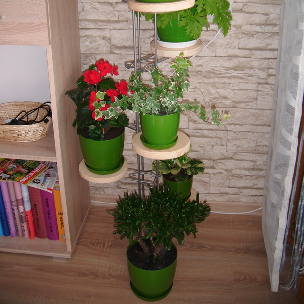 Trzecia cześć kwietnika