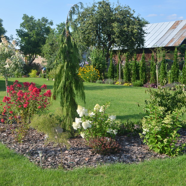 Ulubiona wysepka mojego ogrodu