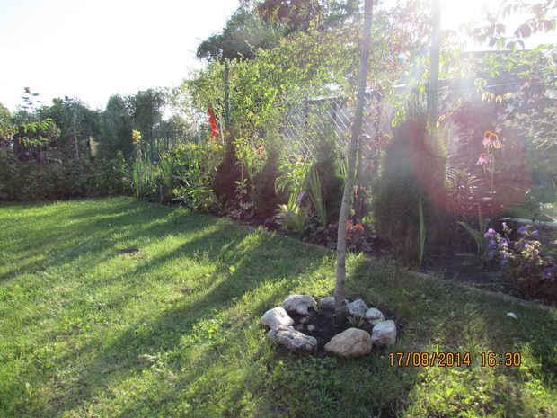 W promieniach zachodzącego słonca