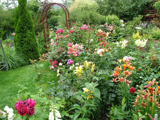 Widoczek z huśtawki, takich kwiecistych rabat na całym ogrodzie jest dość sporo