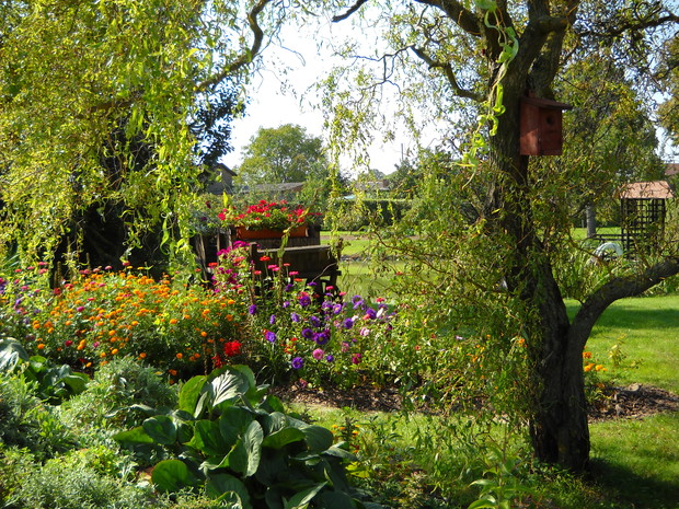 Widok na jesienną rabatę.