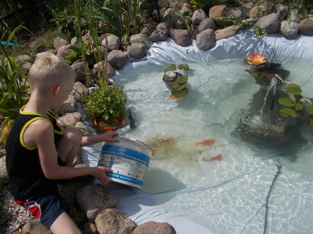 wiosenne czyszczenie oczka