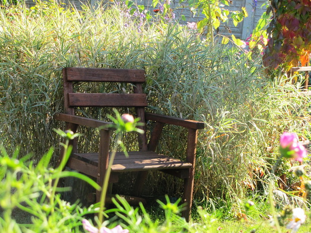 Wśród jesiennych traw