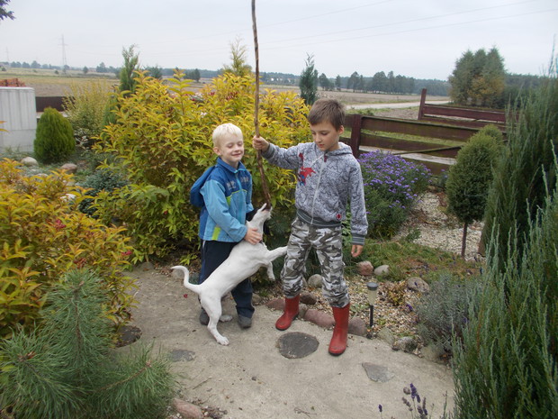 zabawa w przydomowym ogródku 