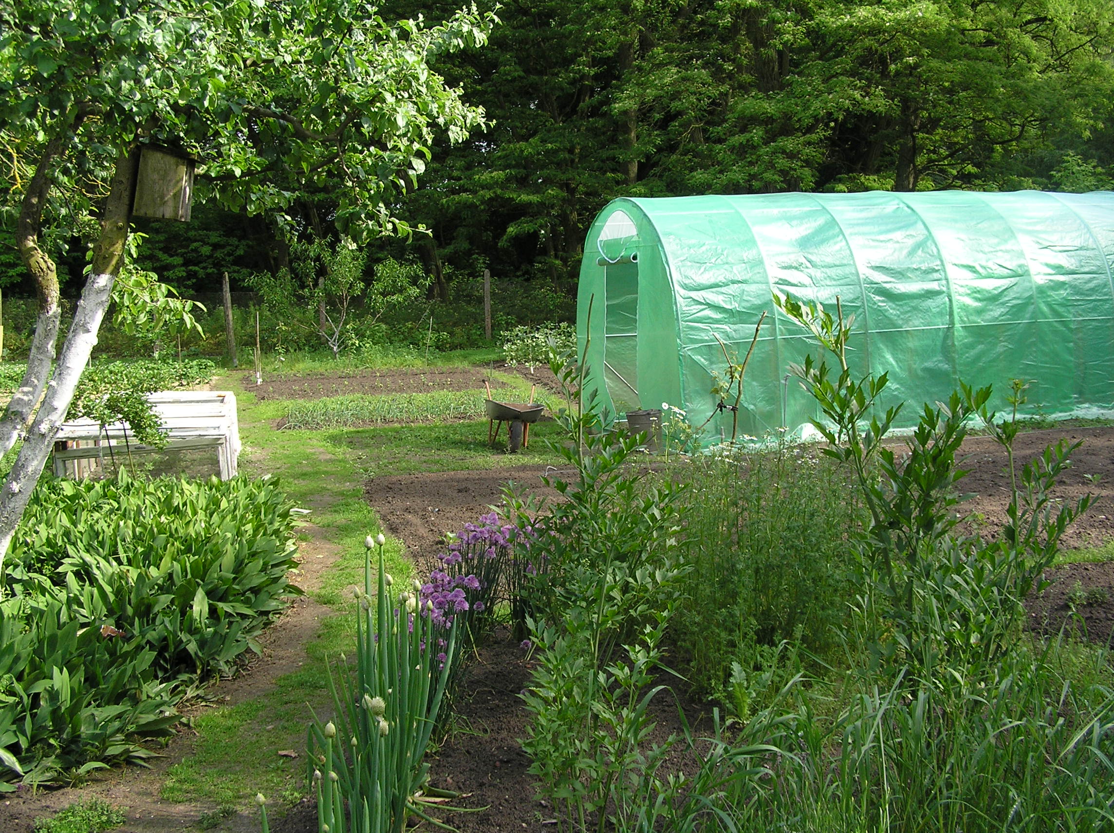 A teraz dla ciała , część owocowo - warzywna