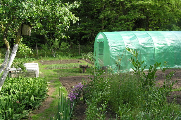 A teraz dla ciała , część owocowo - warzywna