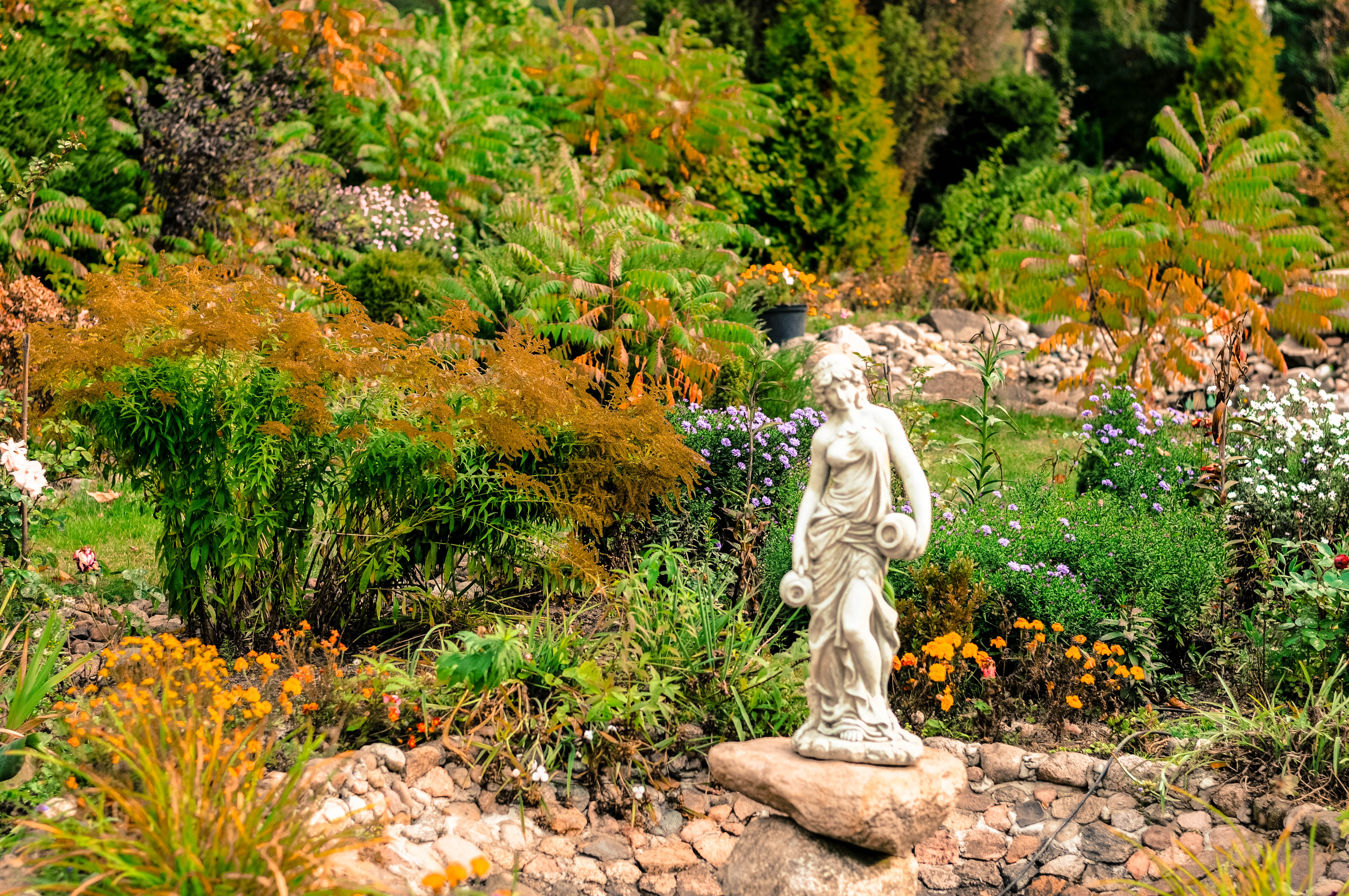 Dama na jesiennym tle