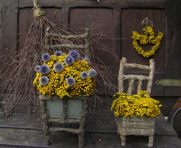 Inspiracje z wrotycza