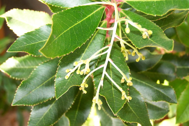 Koniec października 