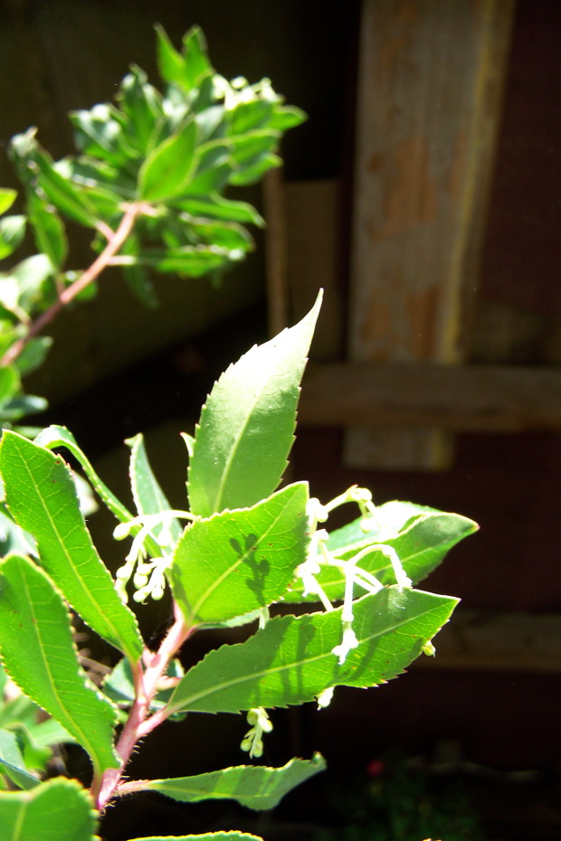 Koniec października