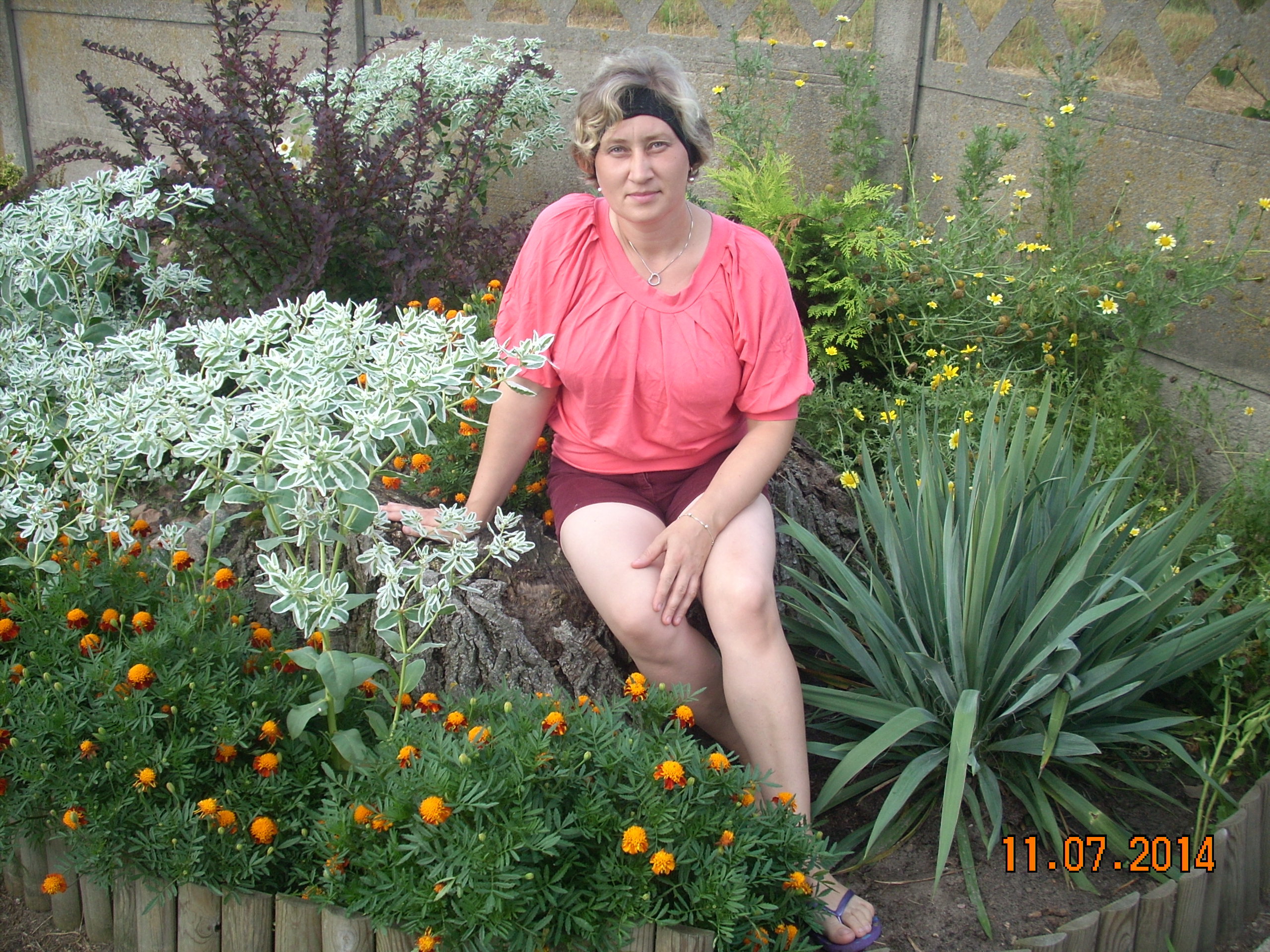 Kwiaty jednoroczne w połączeniu z byliniami