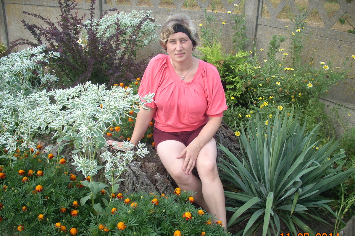 Kwiaty jednoroczne w połączeniu z byliniami