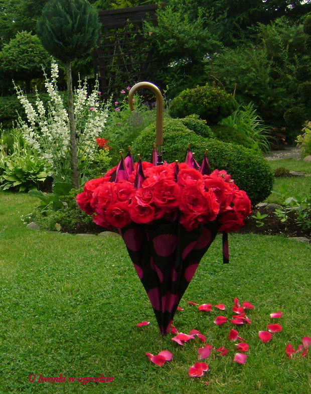 Letnie inspiracje z róży