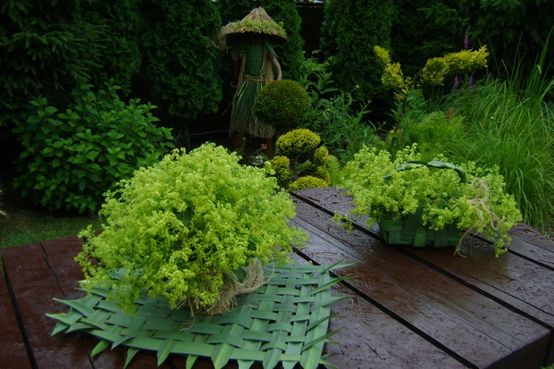 Mata z liści juki ogrodowej 