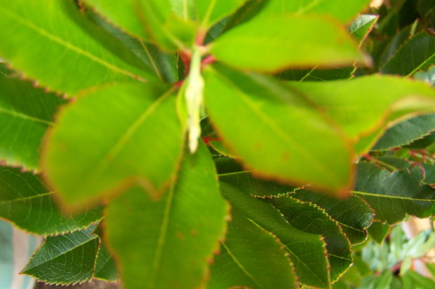 Pierwsze dni września