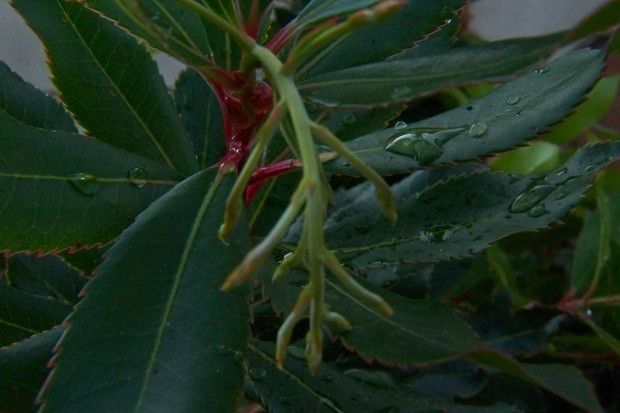 Połowa września, po deszczu