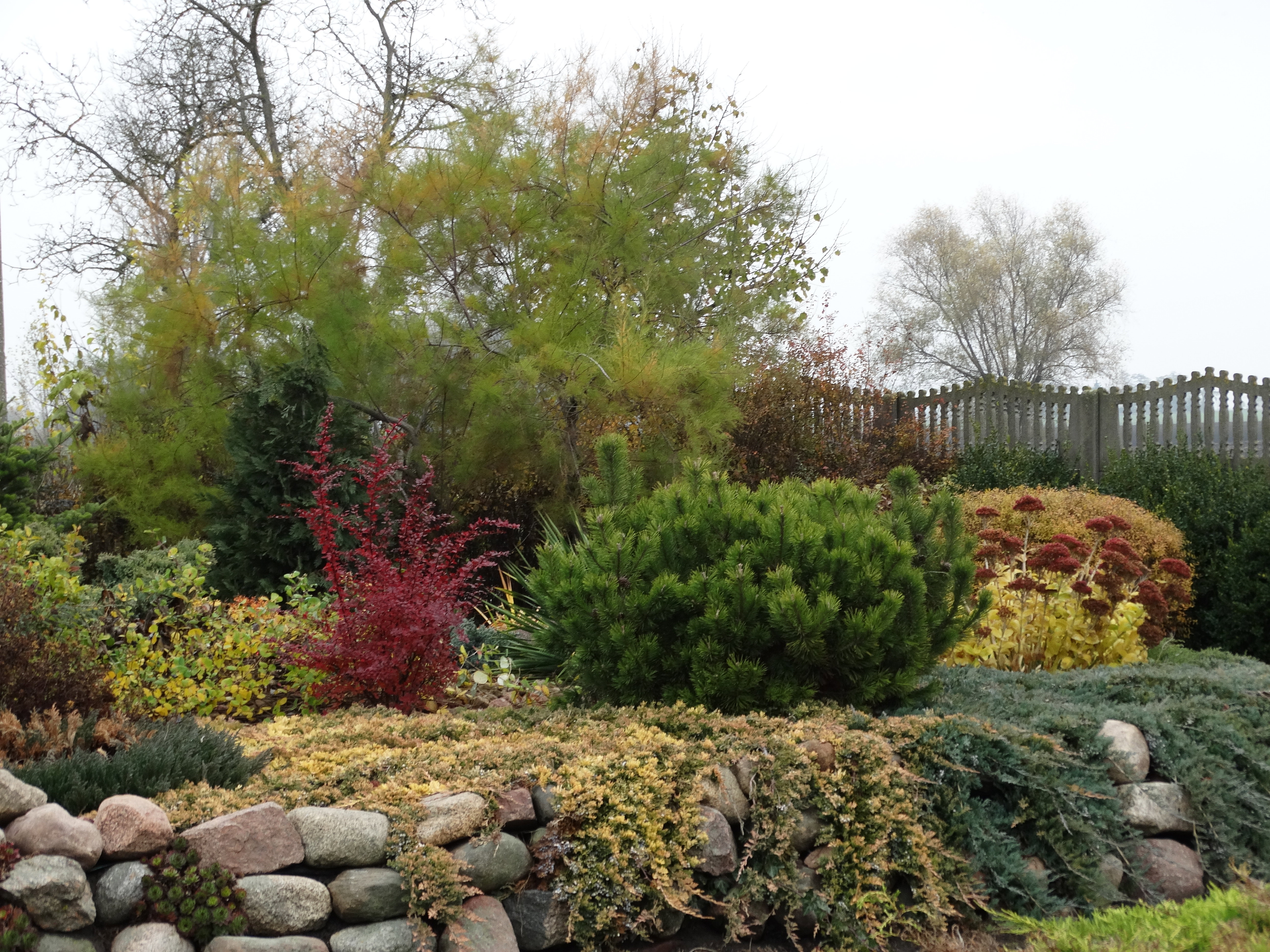 W naszym ogrodzie prym wiodą kamienie polne.