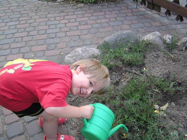 Wnuczek Nataniel podlewa Portulakę.