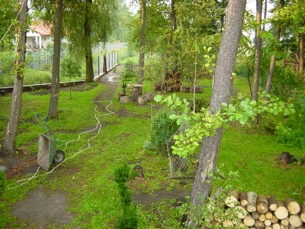 2005 - miejsce na ognisko