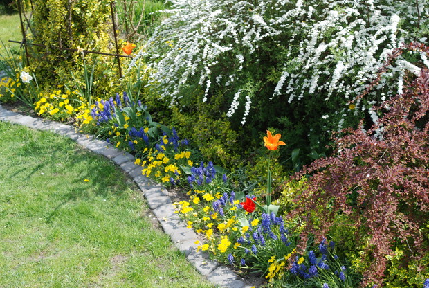 2008 - kolejna wiosna i więcej kwiatów