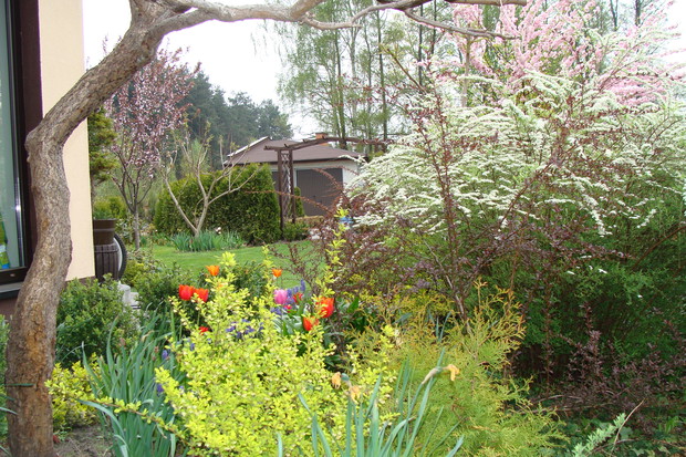 2010 - z roku na rok coraz piękniej