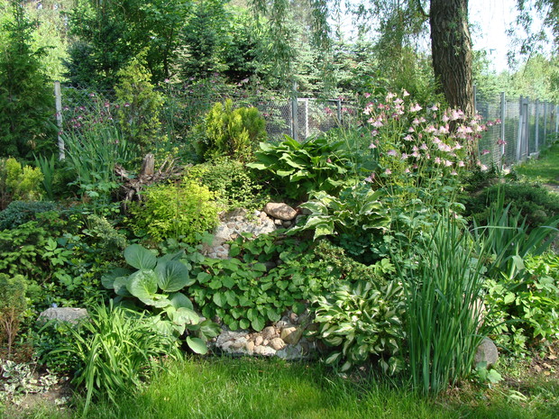 2011 - skałka w cieniu