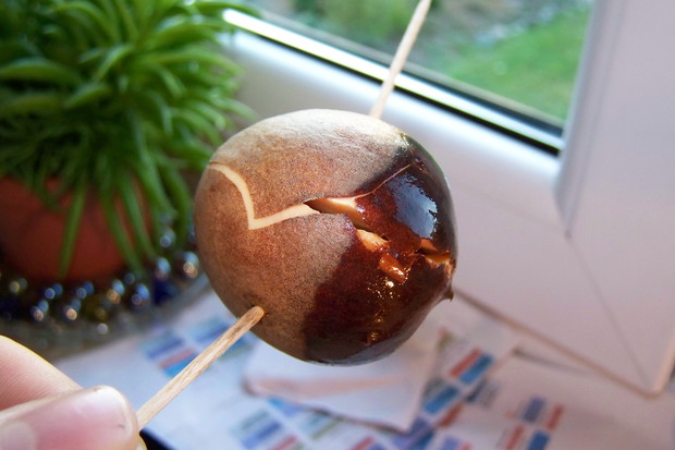 4.11.2014r. Pamiętajmy o dolewaniu do naczynia wody