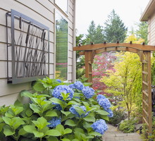 Bliskość roślin i ścian budynku zacieśnia harmonię domu i ogrodu, a każdy skrawek wykorzystanego podłoża sprawia, że zieleń staje się elementem architektury (zdj. Fotolia.com).