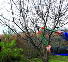 Jeśli nie mamy chłodnej piwnicy, zrazy możemy przechować w lodówce.