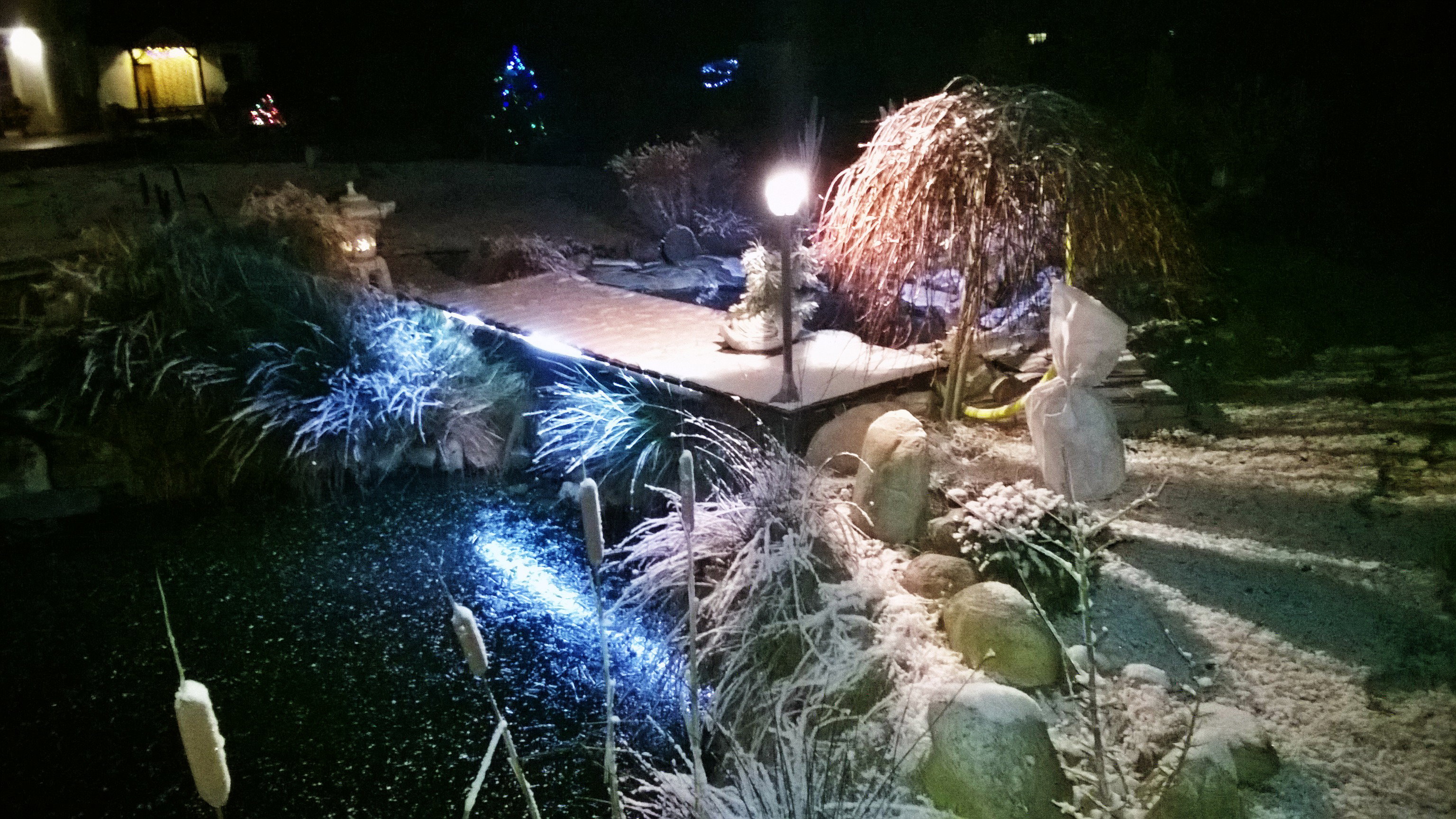 OGRÓD W ZIMOWĄ NOC