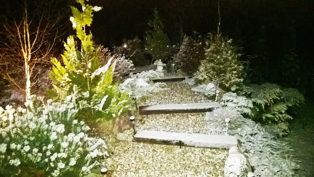 OGRÓD W ZIMOWĄ NOC