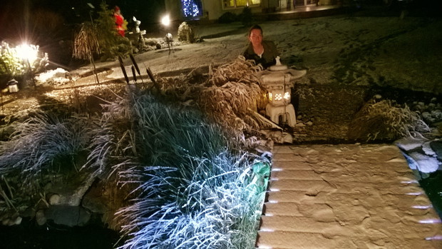 OGRÓD W ZIMOWĄ NOC