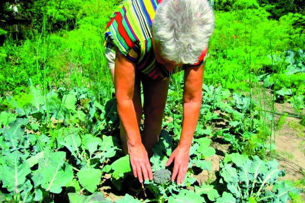 Regularnie przeglądam grządki. Jeśli zauważę pierwsze niepokojące objawy, natychmiast usuwam i palę porażoną część rośliny.