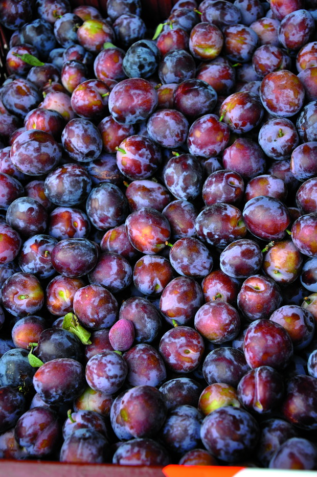 Śliwki obniżają ciśnienie dzięki dużej zawartości potasu.