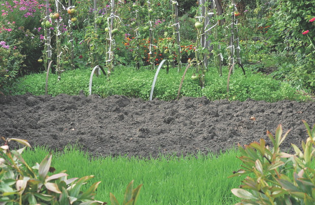 Strukturę ziemi gliniastej można poprawić, mieszając ją z piaskiem.