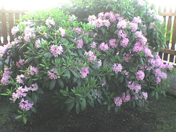 ...w pełnej krasie...