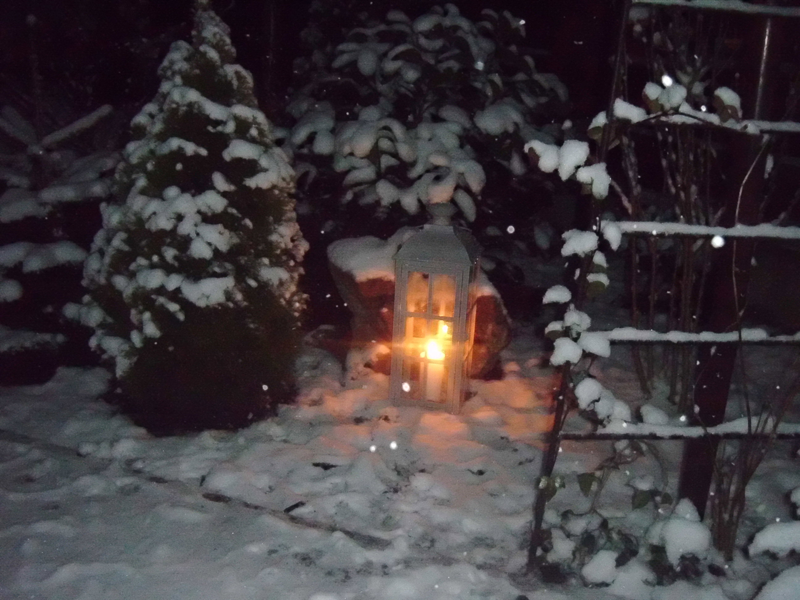 Wieczór,biały puch na iglakach,światło latarenki........