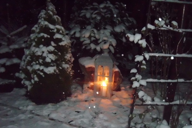Wieczór,biały puch na iglakach,światło latarenki........