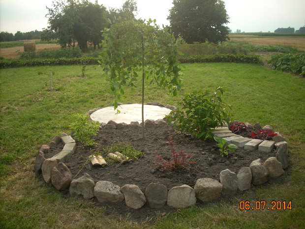 Na rabatach przybywało bylin.