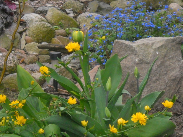 Nad brzegiem rzeczki.