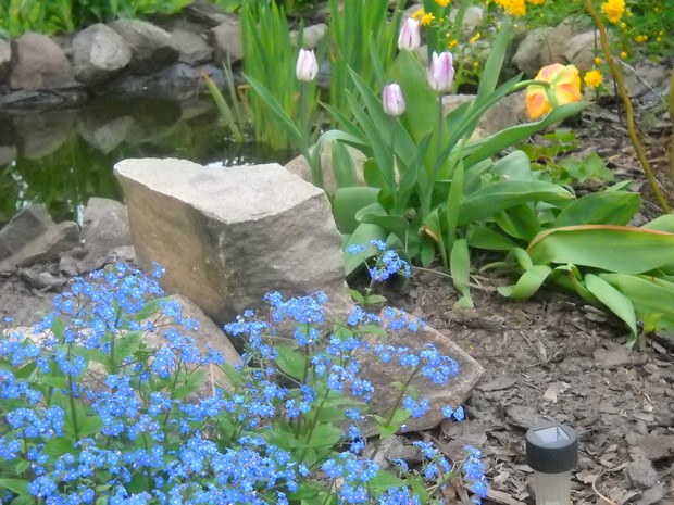 Nad brzegiem rzeczki.