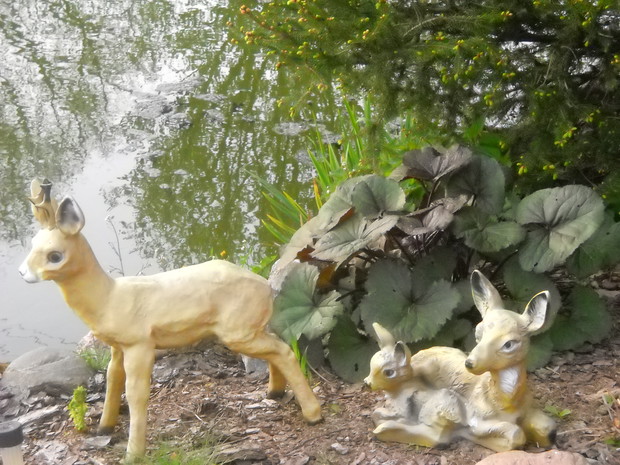 Sarenki przy rzeczce.